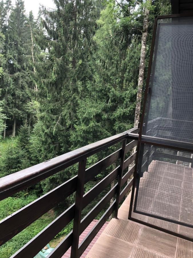 Cabana Zimbru Transfagarasan Arefu Exterior photo