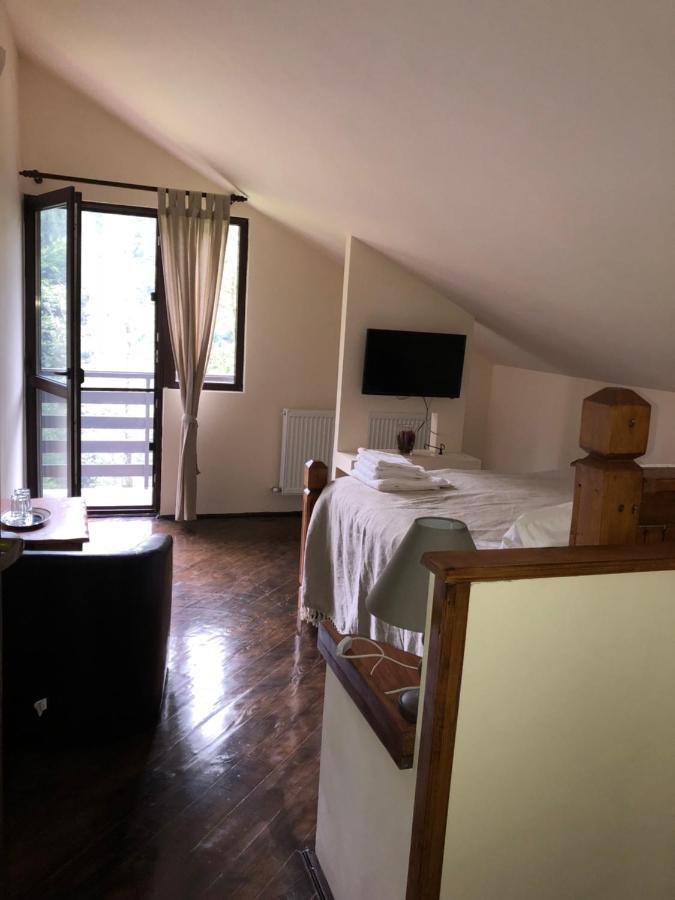 Cabana Zimbru Transfagarasan Arefu Exterior photo