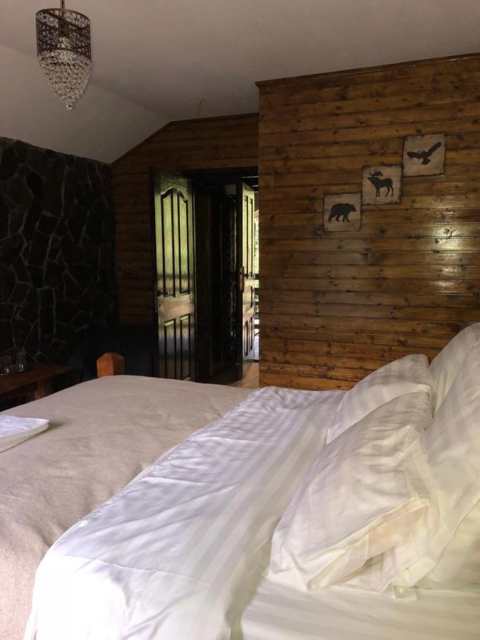 Cabana Zimbru Transfagarasan Arefu Exterior photo
