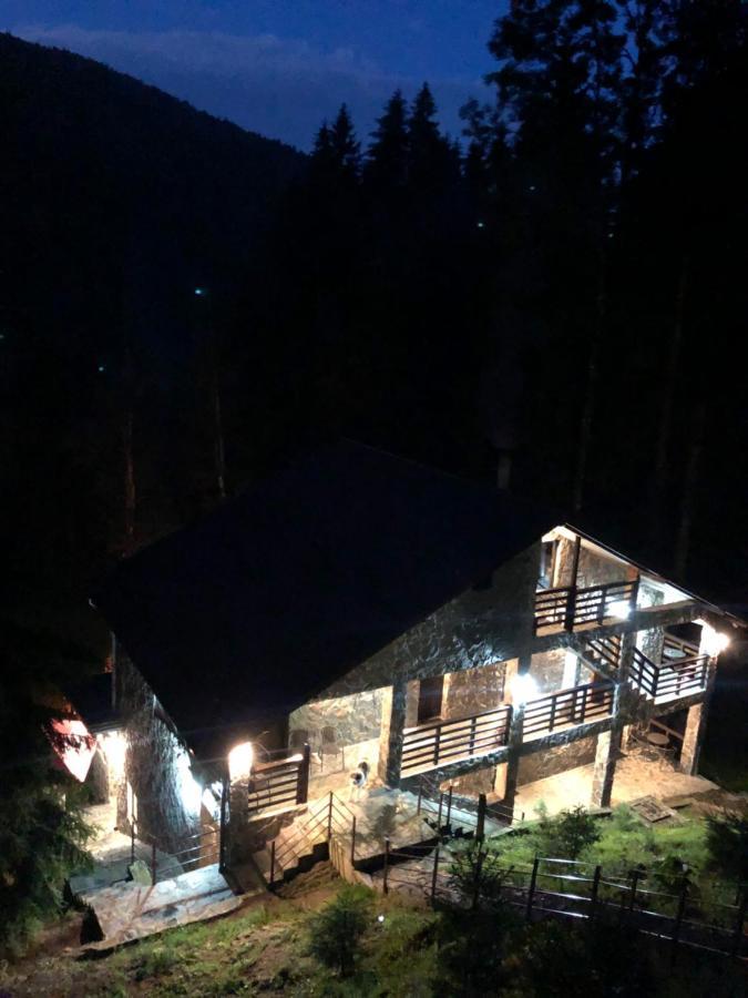 Cabana Zimbru Transfagarasan Arefu Exterior photo
