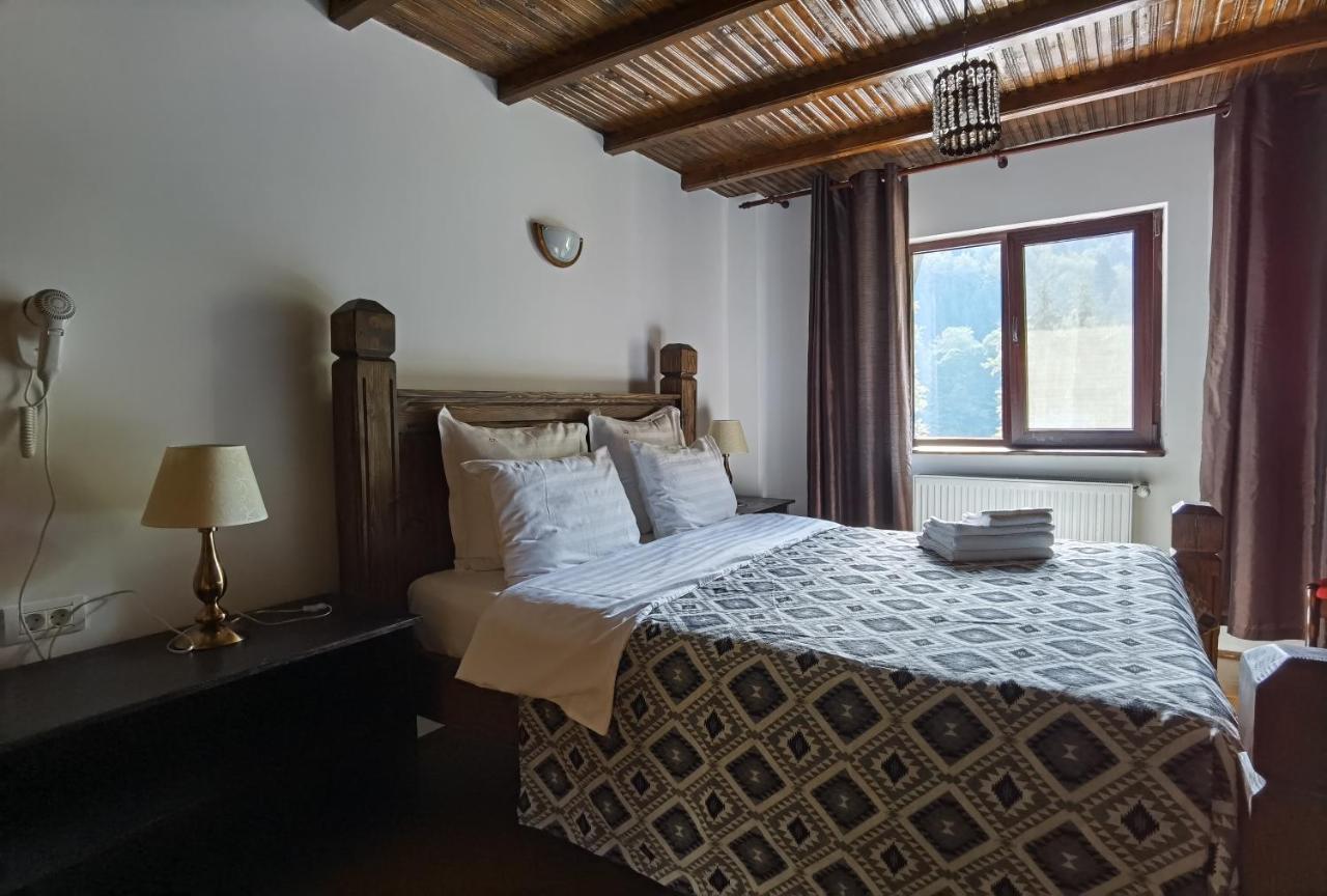 Cabana Zimbru Transfagarasan Arefu Exterior photo