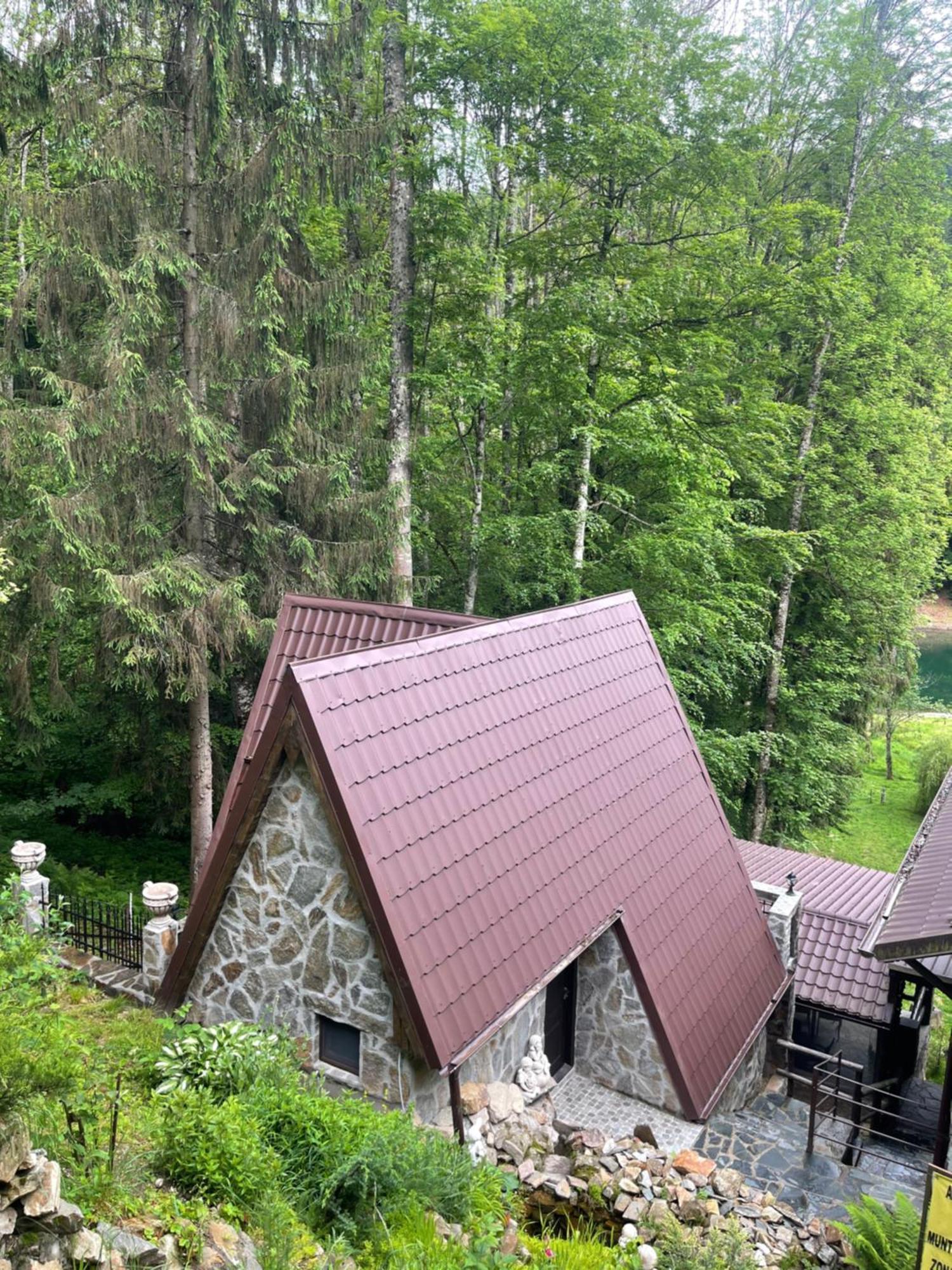 Cabana Zimbru Transfagarasan Arefu Exterior photo