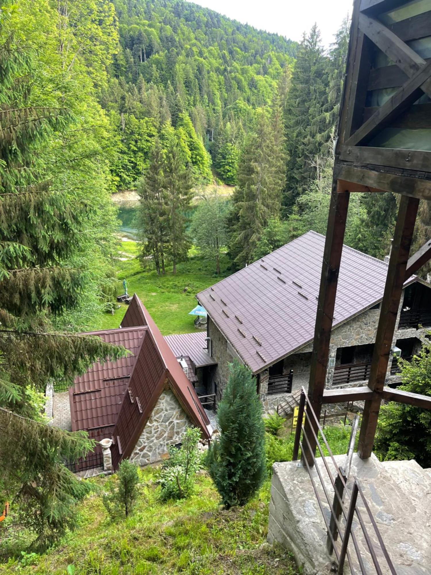 Cabana Zimbru Transfagarasan Arefu Exterior photo