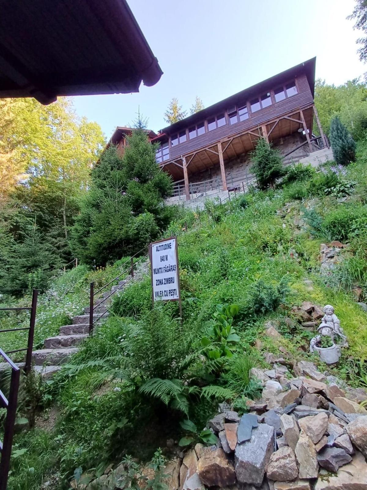 Cabana Zimbru Transfagarasan Arefu Exterior photo
