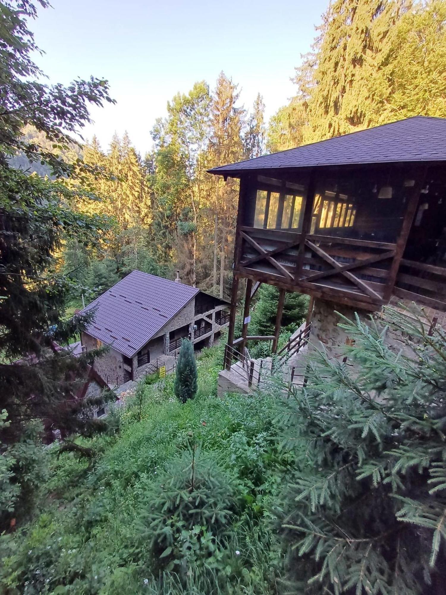 Cabana Zimbru Transfagarasan Arefu Exterior photo